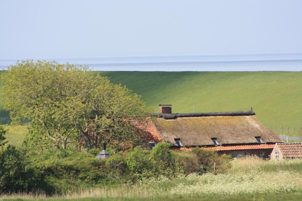 Gasthof Grosser Krug Norddeich  Luaran gambar