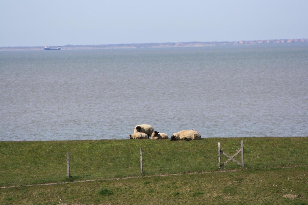 Gasthof Grosser Krug Norddeich  Luaran gambar